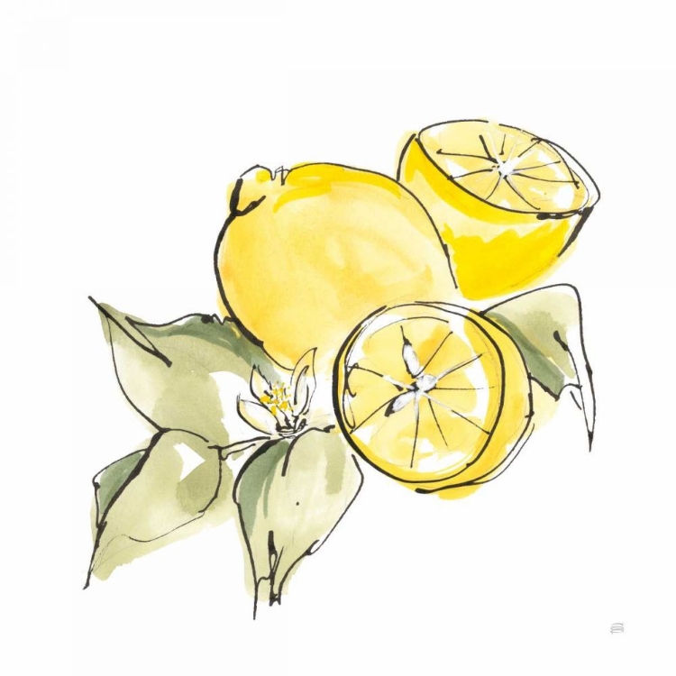 Picture of LEMON STILL LIFE I