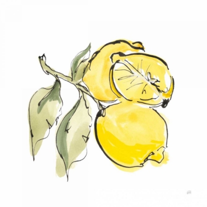 Picture of LEMON STILL LIFE II