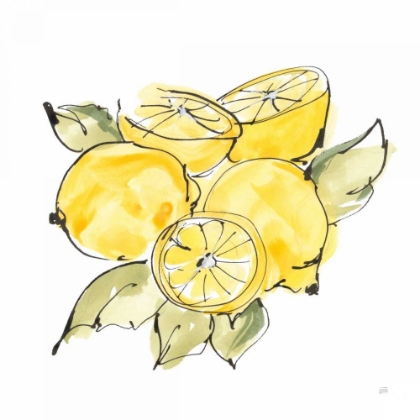 Picture of LEMON STILL LIFE IV