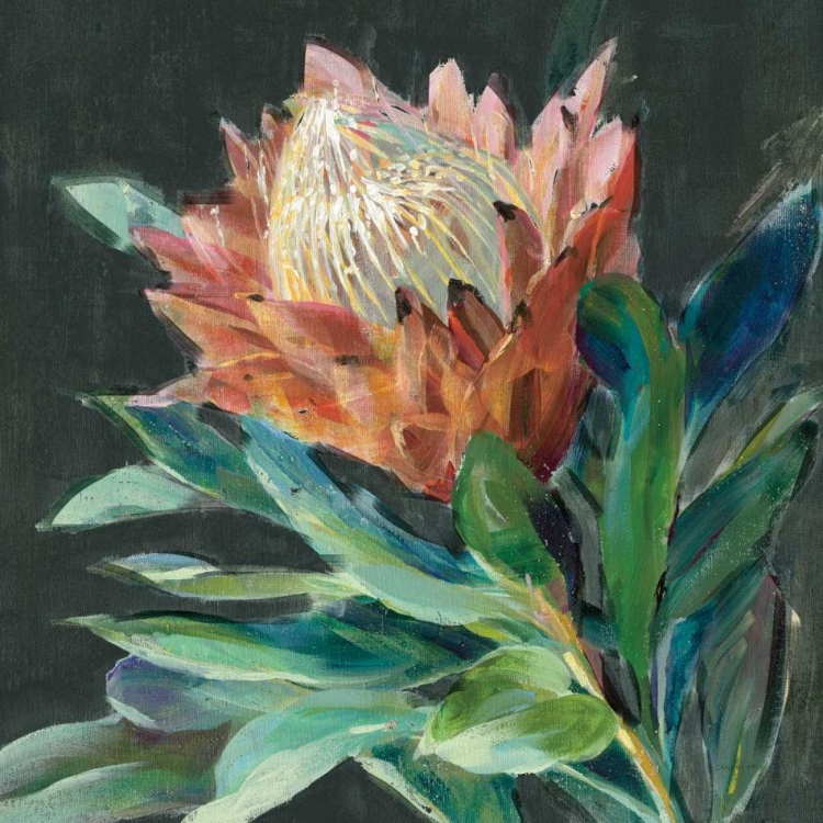 Picture of DEEP PROTEA CROP