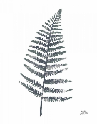 Picture of FERN I