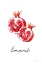 Picture of POMEGRANATES