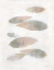 Picture of SEVEN PACES