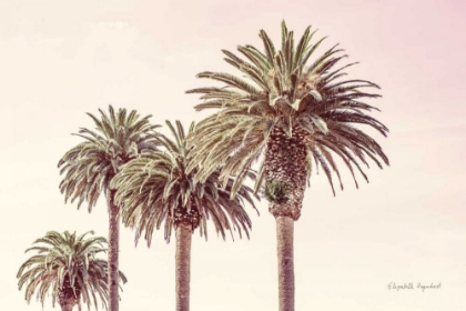 Picture of PASTEL PALMS