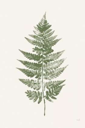 Picture of FERN PRINT I WHITE CROP