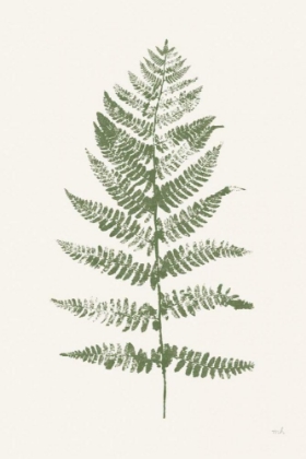 Picture of FERN PRINT II WHITE CROP