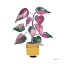 Picture of POTTED JEWELS II