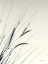 Picture of FIELD GRASSES I