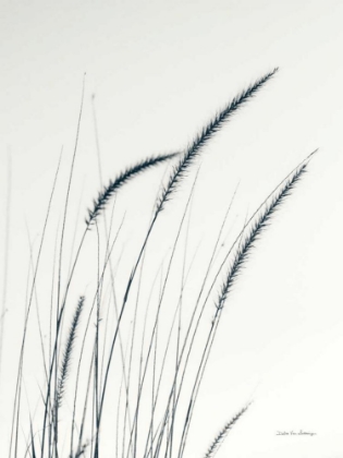 Picture of FIELD GRASSES III