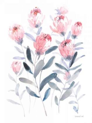 Picture of ALL THE PROTEA