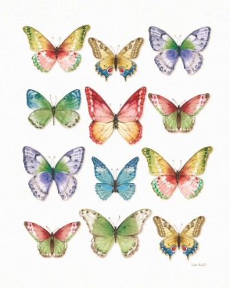 Picture of COLORFUL BREEZE BUTTERFLIES
