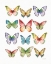 Picture of COLORFUL BREEZE BUTTERFLIES