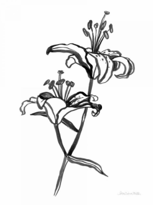 Picture of INK LILIES I