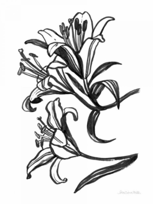 Picture of INK LILIES II