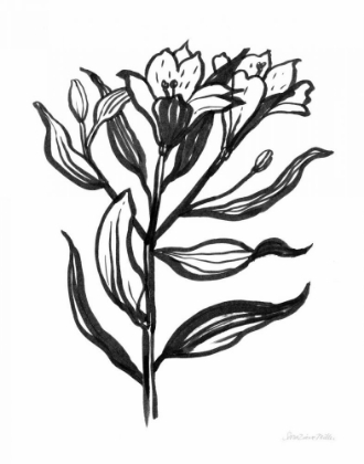 Picture of INK FLOWER I