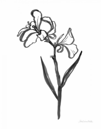 Picture of INK FLOWER II