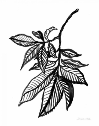 Picture of INK LEAVES