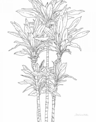 Picture of SKETCHED TREE II