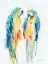 Picture of COLORFUL PARROTS I
