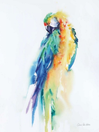 Picture of COLORFUL PARROTS II