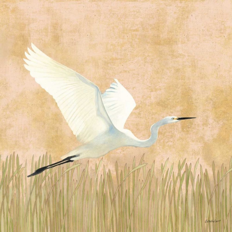 Picture of EGRET ALIGHTING II