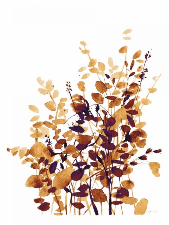 Picture of BROWN BOTANICALS