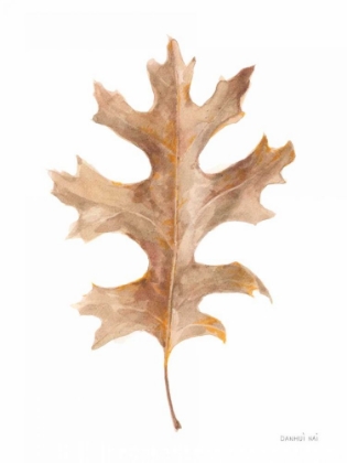Picture of FALLEN LEAF I