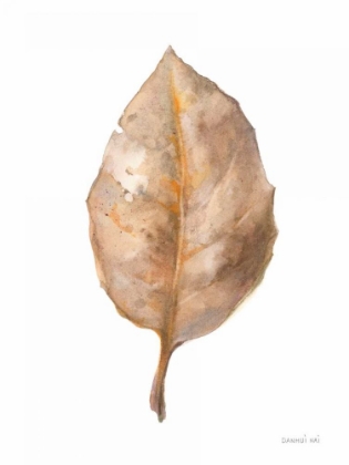 Picture of FALLEN LEAF II