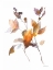 Picture of HARVEST CUTTINGS II