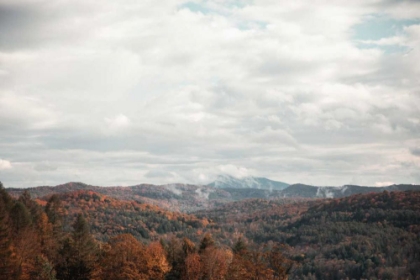 Picture of AUTUMN HILLS I