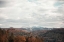 Picture of AUTUMN HILLS I