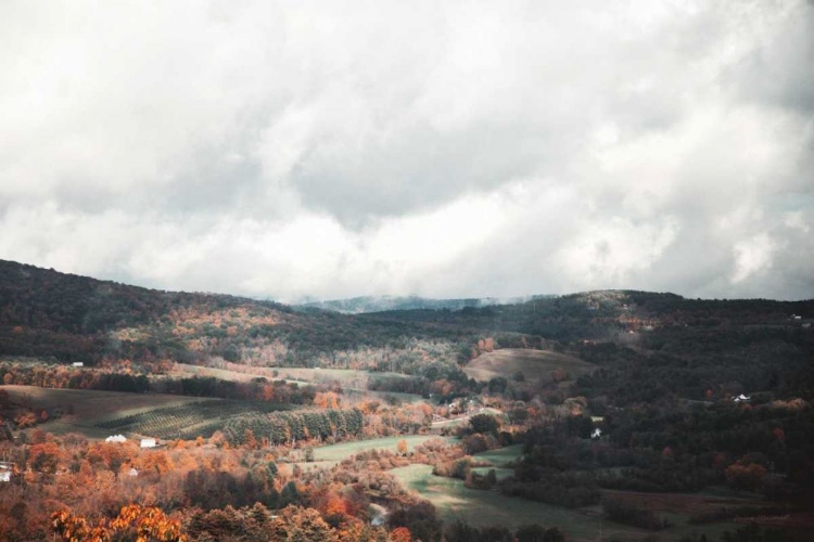 Picture of AUTUMN HILLS II