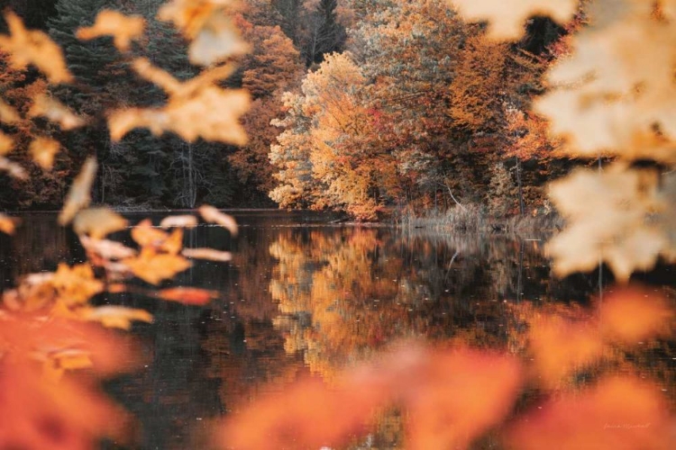 Picture of AUTUMN REFLECTIONS