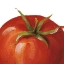 Picture of JUICY ON WHITE