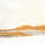 Picture of TURMERIC AND GOLD I