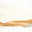 Picture of TURMERIC AND GOLD II