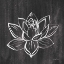 Picture of LOTUS GRAY