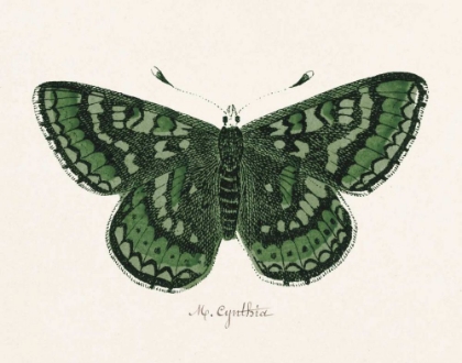 Picture of ANTIQUE BUTTERFLY I