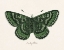 Picture of ANTIQUE BUTTERFLY I
