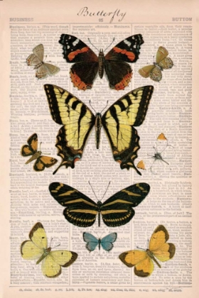 Picture of AMERICAN BUTTERFLIES I