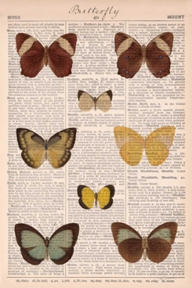 Picture of AMERICAN BUTTERFLIES II