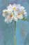 Picture of MODERN FLORAL IV