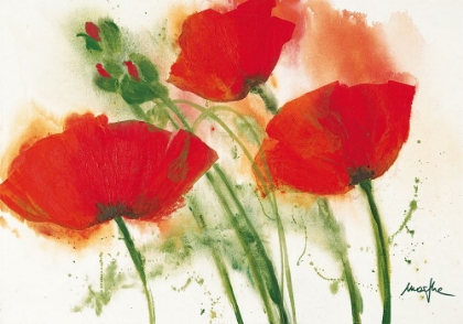 Picture of COQUELICOTS AU VENT I