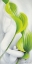 Picture of CALLA I