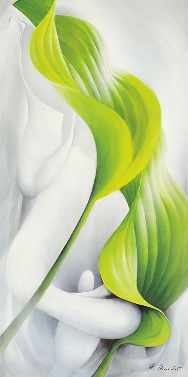 Picture of CALLA I