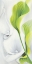 Picture of CALLA II