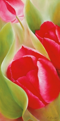 Picture of TULPEN I