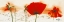 Picture of COQUELICOTS AU VENT IV