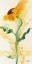 Picture of TOURNESOL I