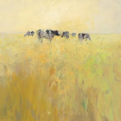 Picture of COWS IN SPRING